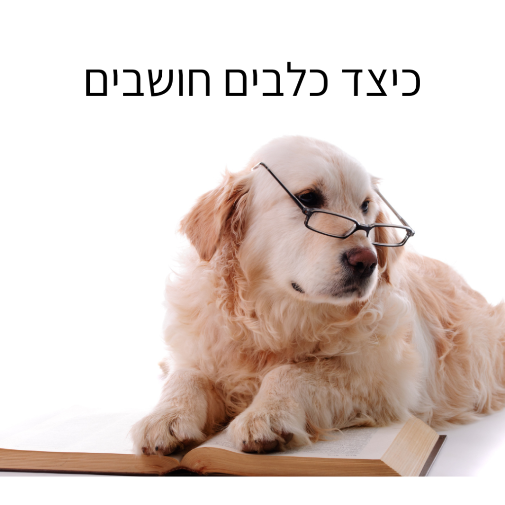 כילצד כלבים חושבים