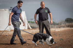 כלבנות טיפולית קורס הרחה