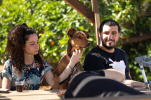 קורס כלבנות טיפולית סטודנטים ללימודי כלבנות טיפולית עם כלב תרפיה